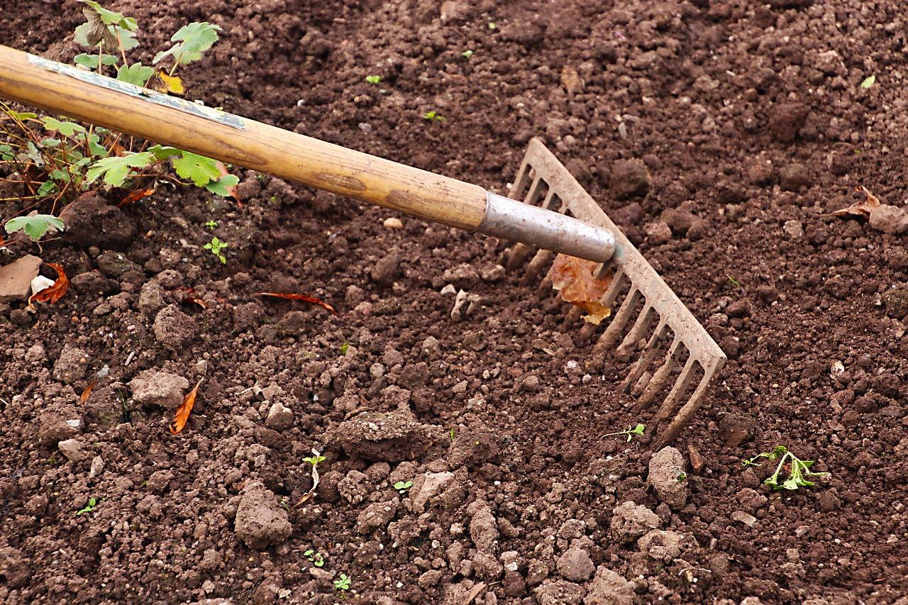 Nachbarschaftshilfe Coswig Gartenarbeit